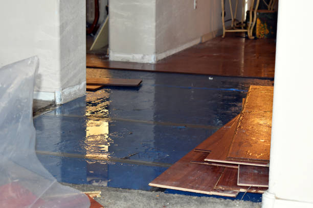 Professional Emergency Water Damage Restoration technician working in East Liberty, OH